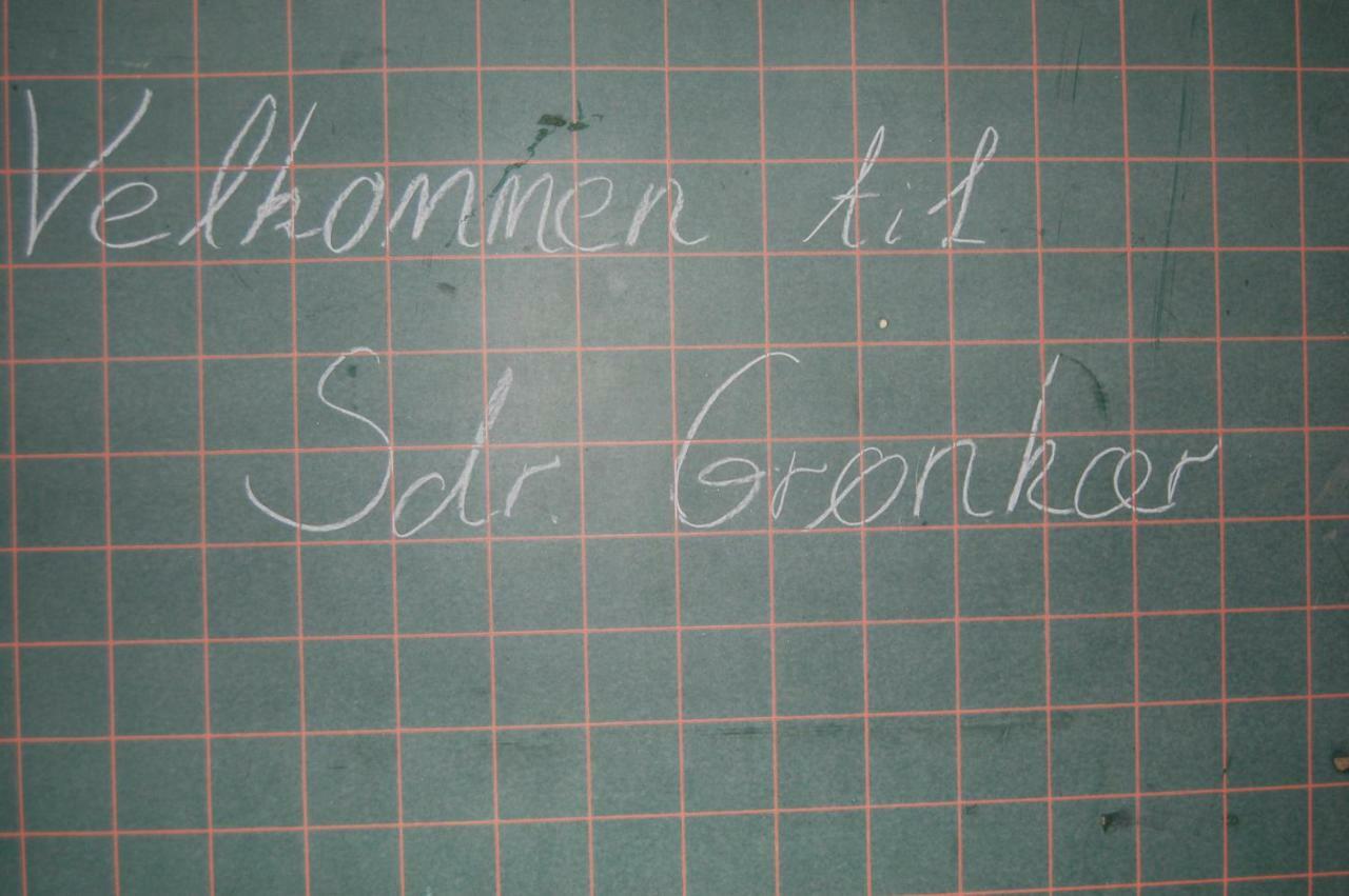 Sdr Gronkaer Feriehus - Holiday House Bækmarksbro Εξωτερικό φωτογραφία